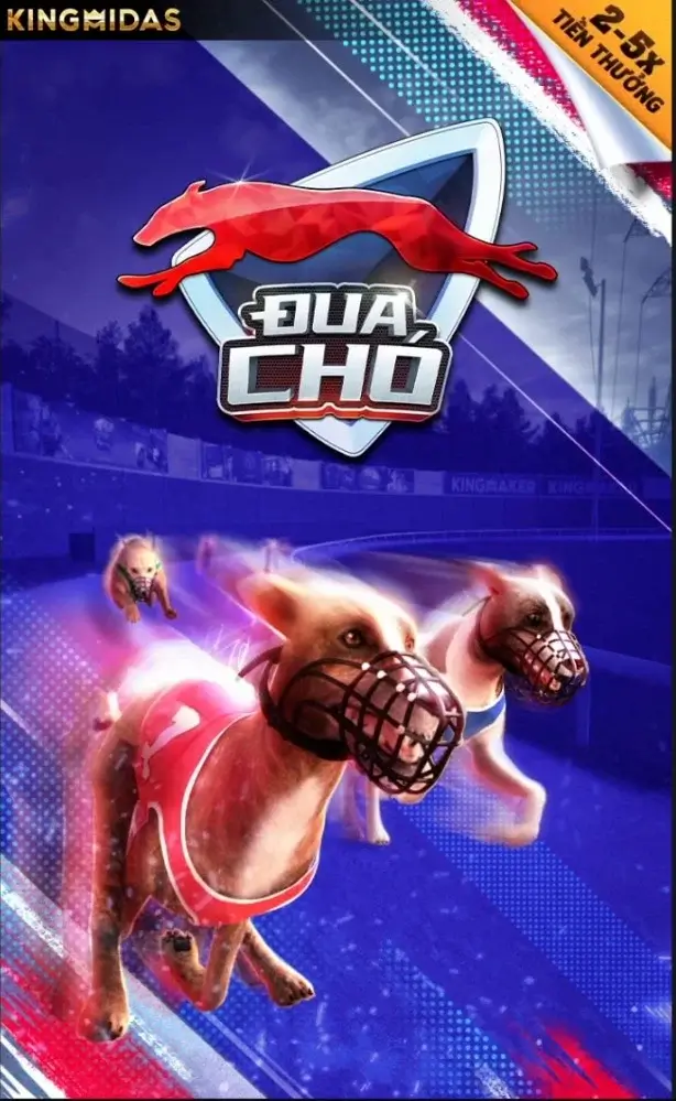 Đua Chó King Maker tại LC79 – cược Win/Quinella, bonus Chú Chó May Mắn 2x–5x